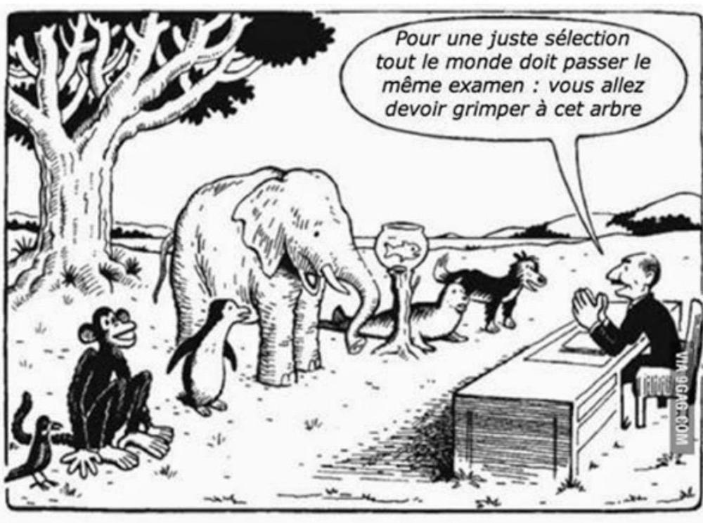 selection