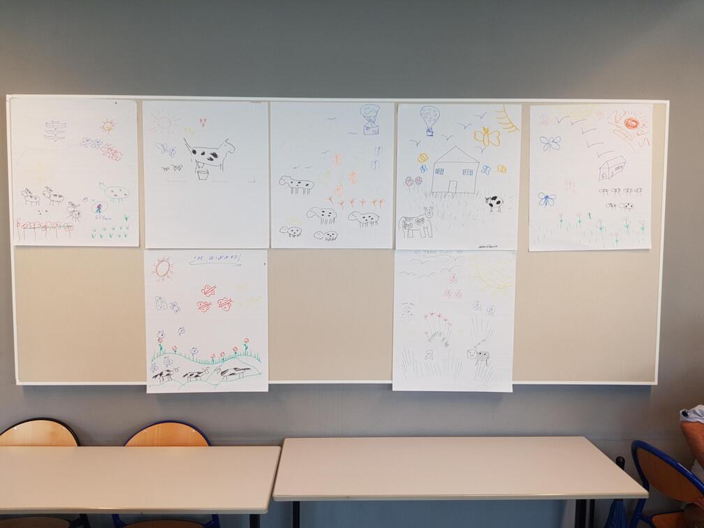 drawings